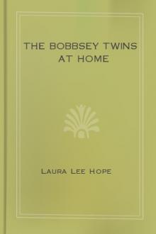 The Bobbsey Twins at Home by Laura Lee Hope