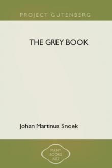 The Grey Book by Johan Martinus Snoek