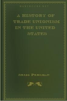 A History of Trade Unionism in the United States by Selig Perlman