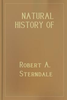 Natural History of the Mammalia of India and Ceylon by Robert Armitage Sterndale