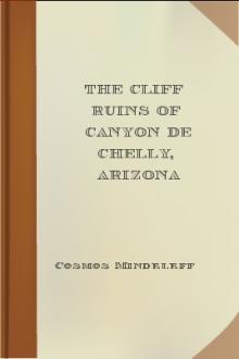 The Cliff Ruins of Canyon de Chelly, Arizona by Cosmos Mindeleff
