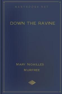 Down the Ravine by Mary Noailles Murfree