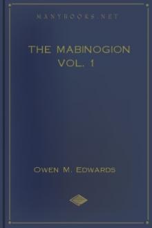 The Mabinogion Vol. 1 by Unknown