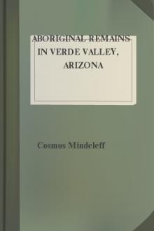 Aboriginal Remains in Verde Valley, Arizona by Cosmos Mindeleff