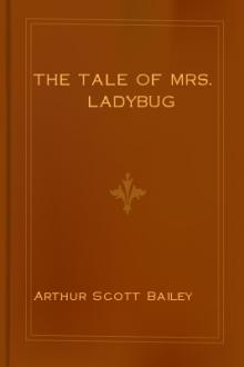 The Tale of Mrs. Ladybug by Arthur Scott Bailey