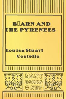 Béarn and the Pyrenees by Louisa Stuart Costello