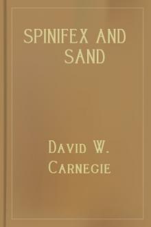 Spinifex and Sand by David Wynford Carnegie
