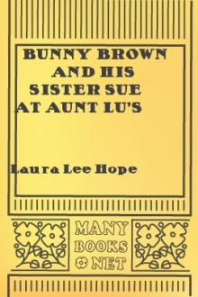 Bunny Brown and His Sister Sue at Aunt Lu's City Home by Laura Lee Hope