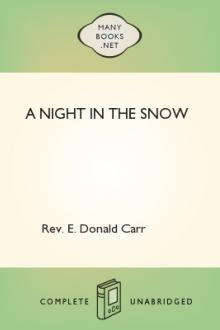 A Night in the Snow by Edmund Donald Carr