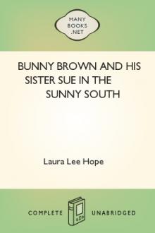 Bunny Brown and His Sister Sue in the Sunny South by Laura Lee Hope