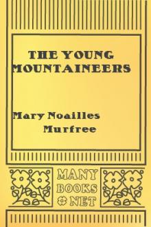 The Young Mountaineers by Mary Noailles Murfree