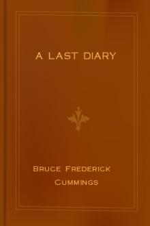 A Last Diary by Bruce Frederick Cummings