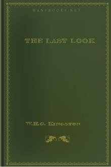 The Last Look by W. H. G. Kingston