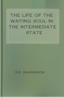 The Life of the Waiting Soul in the Intermediate State by R. E. Sanderson