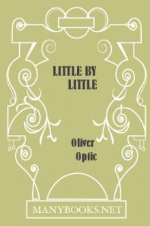 Little By Little by Oliver Optic