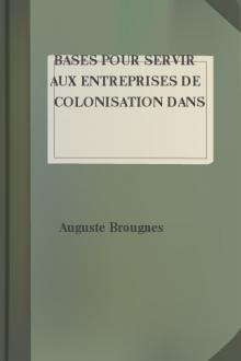 Bases pour servir aux entreprises de colonisation dans les territoires nationaux de la Republique Argentine by Auguste Brougnes