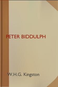 Peter Biddulph by W. H. G. Kingston