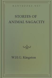 Stories of Animal Sagacity by W. H. G. Kingston