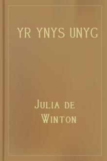Yr Ynys Unyg by Julia de Winton