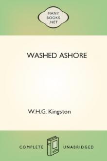 Washed Ashore by W. H. G. Kingston