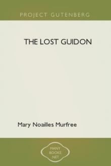 The Lost Guidon by Mary Noailles Murfree