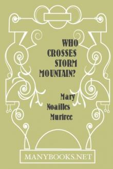 Who Crosses Storm Mountain? by Mary Noailles Murfree