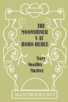 The Moonshiners at Hoho-Hebee Falls by Mary Noailles Murfree