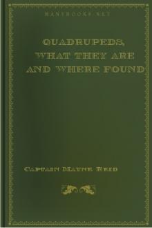 Quadrupeds, What They Are and Where Found by Mayne Reid