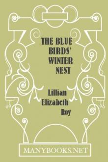 The Blue Birds' Winter Nest by Lillian Elizabeth Roy
