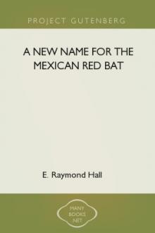 A New Name for the Mexican Red Bat by E. Raymond Hall