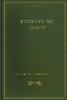 Forests of Maine by Jacob Abbott