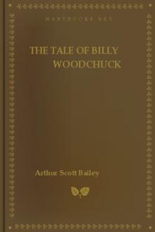 The Tale of Billy Woodchuck by Arthur Scott Bailey