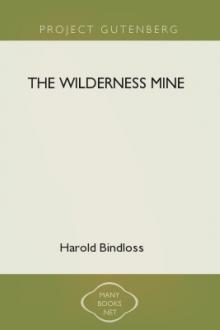 The Wilderness Mine by Harold Bindloss