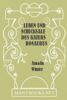 Leben und Schicksale des Katers Rosaurus by Amalie Winter