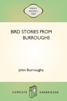 Bird Stories from Burroughs by John Burroughs