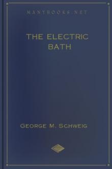 The Electric Bath by George M. Schweig