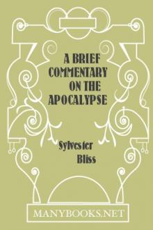 A Brief Commentary on the Apocalypse by Sylvester Bliss