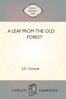 A Leaf from the Old Forest by John D. Cossar