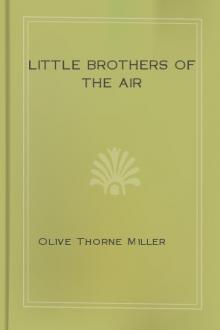 Little Brothers of the Air by Olive Thorne Miller