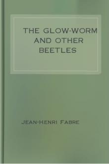 The Glow-Worm and Other Beetles by Jean-Henri Fabre