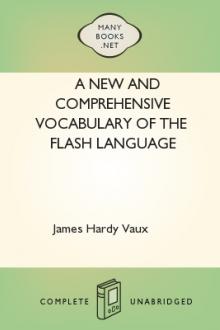 A New and Comprehensive Vocabulary of the Flash Language by James Hardy Vaux