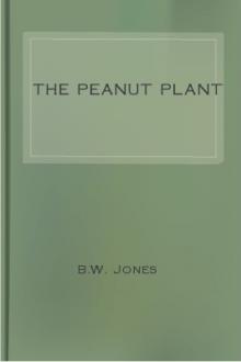 The Peanut Plant by B. W. Jones
