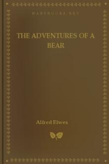 The Adventures of a Bear by Alfred Elwes