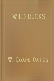 Wild Ducks by W. Coape Oates