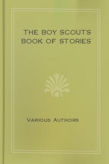The Boy Scouts Book of Stories by Unknown