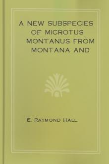A New Subspecies of Microtus montanus from Montana and Comments on Microtus canicaudus Miller by Keith R. Kelson, E. Raymond Hall