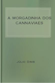 A Morgadinha dos Cannaviaes by Júlio Dinis