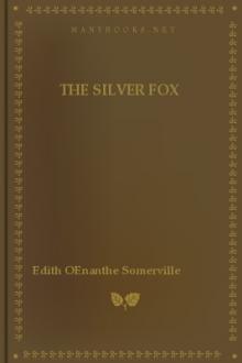 The Silver Fox by Edith OEnanthe Somerville