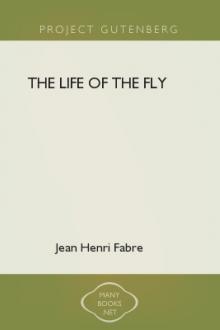The Life of the Fly by Jean-Henri Fabre