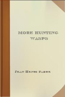 More Hunting Wasps by Jean-Henri Fabre